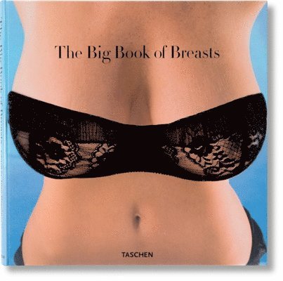 The Big Book of Breasts 1