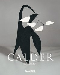 bokomslag Calder Basic Art