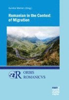 bokomslag Romanian in Migration Contexts