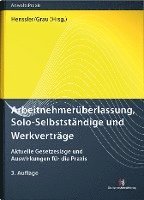 bokomslag Arbeitnehmerüberlassung, Solo-Selbstständige und Werkverträge