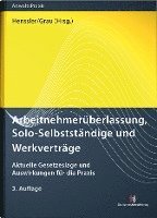 bokomslag Arbeitnehmerüberlassung, Solo-Selbstständige und Werkverträge