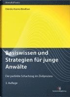 bokomslag Basiswissen und Strategien für junge Anwälte