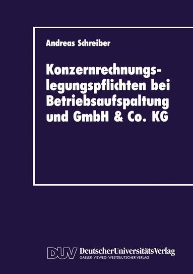 Andreas Schreiber - Konzernrechnungslegungspflichten bei Betriebsaufspaltung und GmbH & Co. KG, Häftad