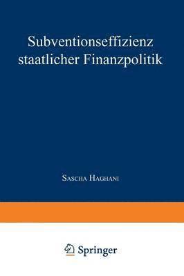 bokomslag Subventionseffizienz staatlicher Finanzpolitik