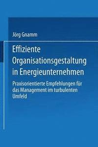 bokomslag Effiziente Organisationsgestaltung in Energieunternehmen: Praxisorientierte Empfehlungen Für Das Management Im Turbulenten Umfeld