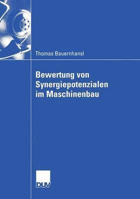 bokomslag Bewertung von Synergiepotenzialen im Maschinenbau