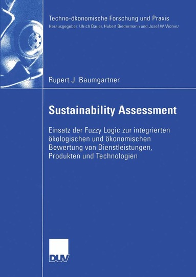 Rupert Baumgartner - Sustainability Assessment, Häftad