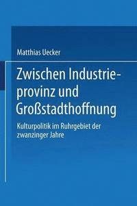 bokomslag Zwischen Industrieprovinz und Grossstadthoffnung