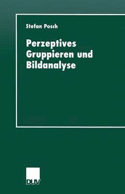 Perzeptives Gruppieren Und Bildanalyse, Häftad