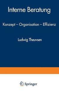 bokomslag Interne Beratung: Konzept -- Organisation -- Effizienz