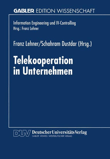 Franz Lehner, Schahram Dustdar - Telekooperation in Unternehmen, Häftad