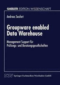 bokomslag Groupware Enabled Data Warehouse: Management Support Für Prüfungs- Und Beratungsgesellschaften