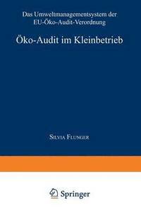 bokomslag Öko-Audit im Kleinbetrieb