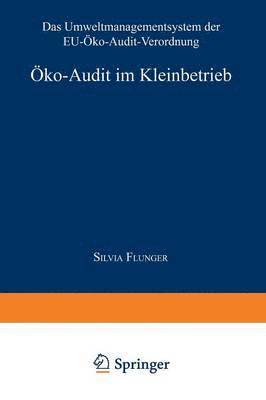 bokomslag Öko-Audit im Kleinbetrieb
