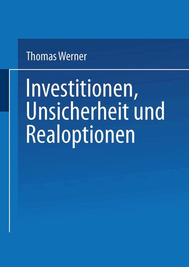 Thomas Werner - Investitionen, Unsicherheit und Realoptionen, Häftad