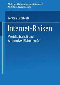 bokomslag Internet-Risiken
