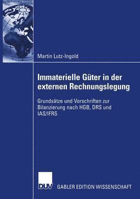 bokomslag Immaterielle Gter in der externen Rechnungslegung