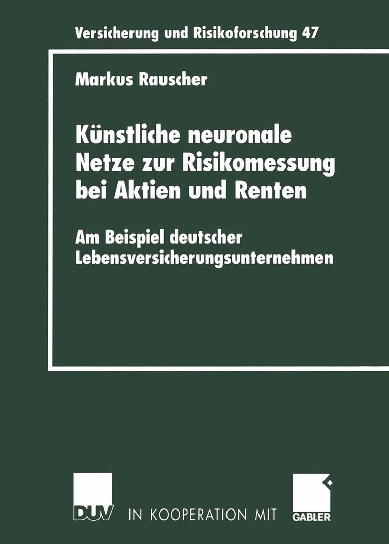 Markus Rauscher - Künstliche neuronale Netze zur Risikomessung bei Aktien und Renten, Häftad