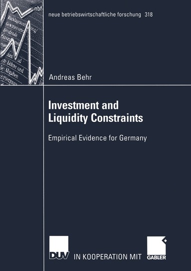 Andreas Behr - Investment and Liquidity Constraints, Häftad