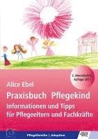 bokomslag Praxisbuch Pflegekind