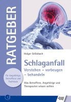 Holger Grötzbach - Schlaganfall, Häftad