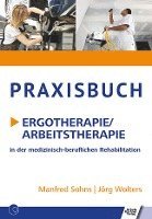 bokomslag Praxisbuch Ergotherapie/Arbeitstherapie