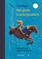 bokomslag Das große Geschichtenbuch