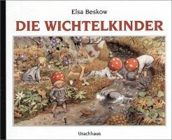 bokomslag Die Wichtelkinder