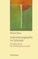 Michael Debus - Auferstehungskräfte im Schicksal, Häftad