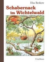 bokomslag Schabernack im Wichtelwald