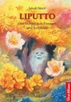 bokomslag Liputto