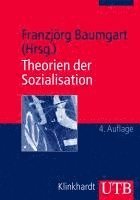 bokomslag Theorien der Sozialisation 3