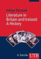 bokomslag Literature in Britain and Ireland: A History