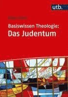 bokomslag Basiswissen Theologie: Das Judentum