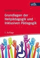 bokomslag Grundlagen der Heilpädagogik und Inklusiven Pädagogik