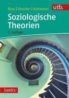 bokomslag Soziologische Theorien