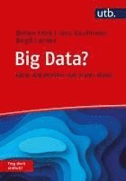 bokomslag Big Data? Frag doch einfach!