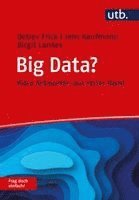 Detlev Frick, Jens Kaufmann, Birgit Lankes - Big Data? Frag doch einfach!, Häftad