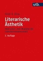 bokomslag Literarische Ästhetik