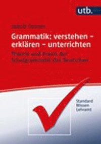 bokomslag Grammatik: verstehen - erklären - unterrichten
