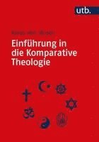 bokomslag Einführung in die Komparative Theologie