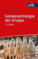 bokomslag Sozialpsychologie der Gruppe