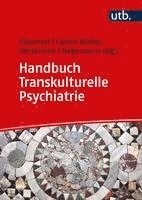 bokomslag Handbuch Transkulturelle Psychiatrie