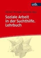 bokomslag Soziale Arbeit in der Suchthilfe. Lehrbuch