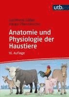 bokomslag Anatomie und Physiologie der Haustiere