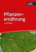 Pflanzenernährung 1