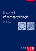 bokomslag Pflanzenphysiologie