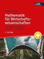 bokomslag Mathematik für Wirtschaftswissenschaften