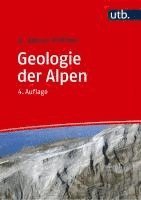 bokomslag Geologie der Alpen