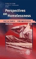 bokomslag Perspectives on Homelessness